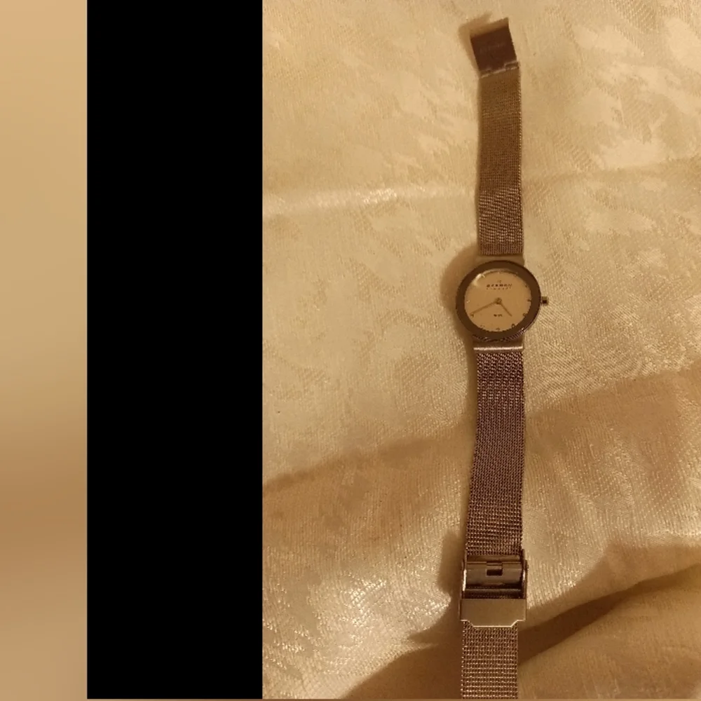 Skagen stainless steel mesh Freja women's watch